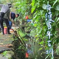永續城鄉 x 城市觀察與綠色行動