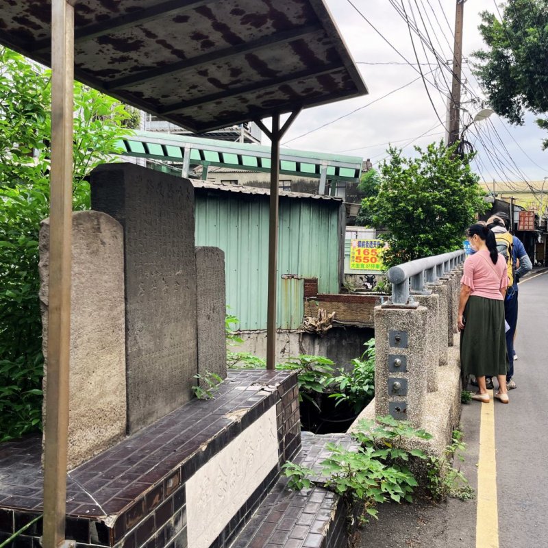 用散步重新認識樹林，找出在地隱藏的故事｜散步學：尋找地方的不思議