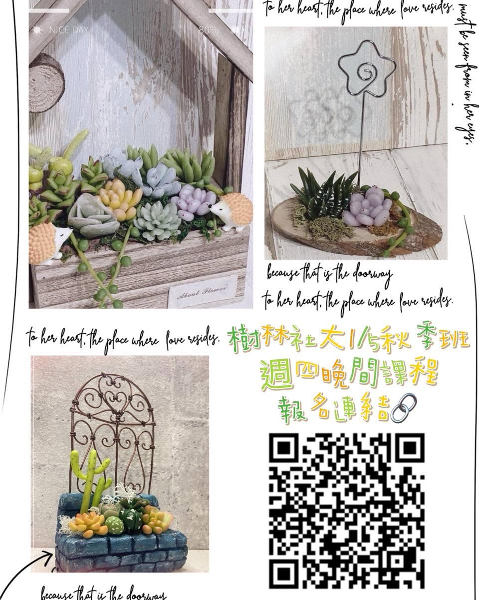 指尖上的永生森林！｜植想為泥・仿真多肉植物捏塑